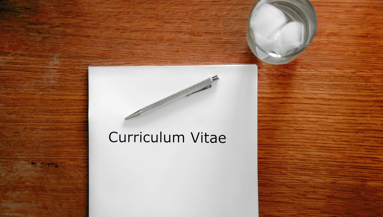 resume review service