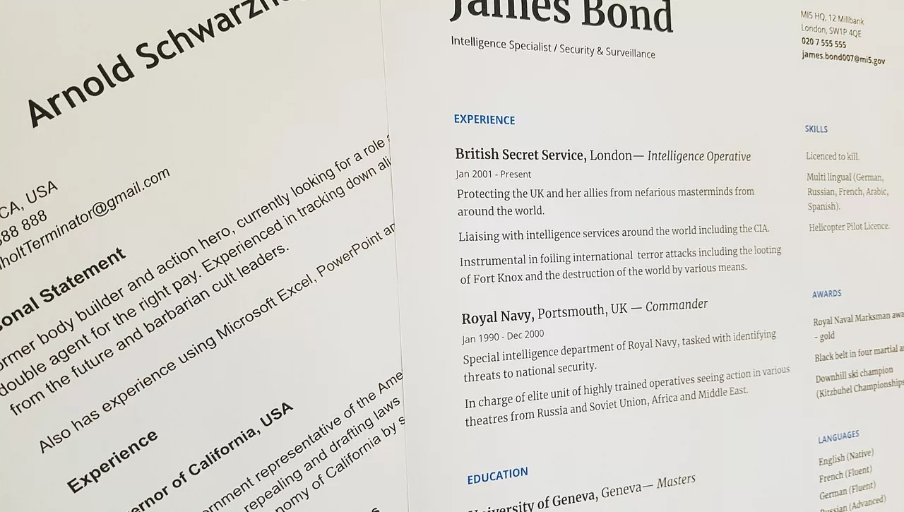 resume writing service